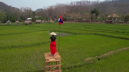 Rice Field in Luang Probang Laos