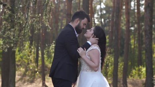 Beautiful wedding couple standing in forest. Lovely newlyweds hugging and kissing on nature