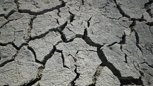 Dry Cracked Earth Forms a Stark Texture Highlighting the Severe Drought Conditions Affecting the