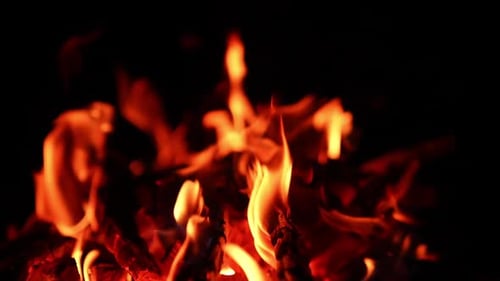 Burning out bonfire in the darkness. Luminous sparkles fly up from the campfire. Close up.