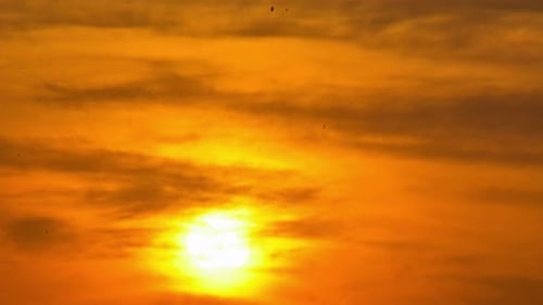 Golden Morning Sunrise Over Winter Countryside Landscape Time Lapse
