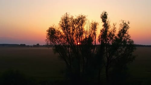 Majestic Sunrise over Rural Landscape with Silhouetted Tree