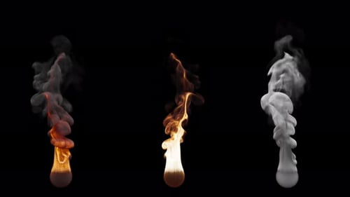 Set of three fire burning variants. File contains Alpha Channel.