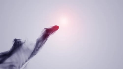 fish ink animation design