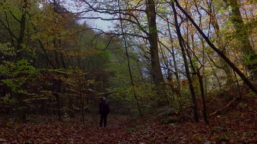 Active woman hiking through the forest path covered with colorful fallen leaves