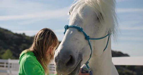 Walking and Petting in Ranch Field Care and Animal Love on Farm