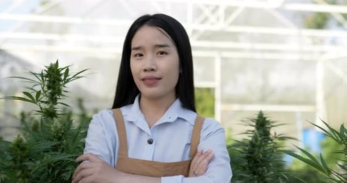 Young woman smile and arms crossed with green leaves of cannabis