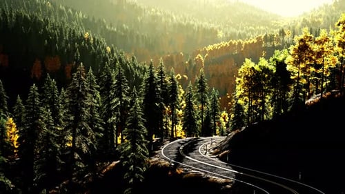 Uma estrada florestal serena ao pôr do sol