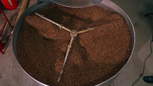 Closeup of a Coffee Roasting Factory Inside Drum Roasting Stirring Coffee