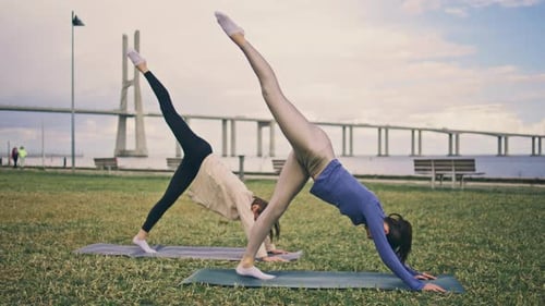 Fitness Women Stretching Body At Green Nature. Two Flexible Girls Making Yoga Exercises Enjoying ...