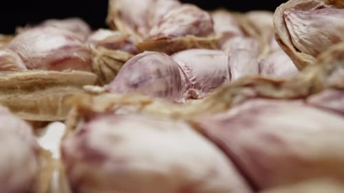 Macro close up isolate footage of a lot raw peanut or groundnut with peel and unpeel for ingredient