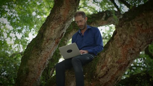 Man Working on Laptop While Sitting in Tree