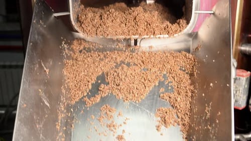 Malt Grinding Process in Private Craft Beer Brewery for Unfiltered Craft Beer Production