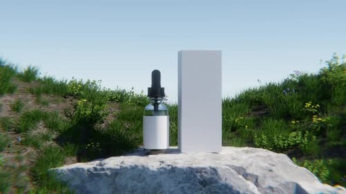 3D Product Mockup of Dropper Bottle and Box in Natural Setting