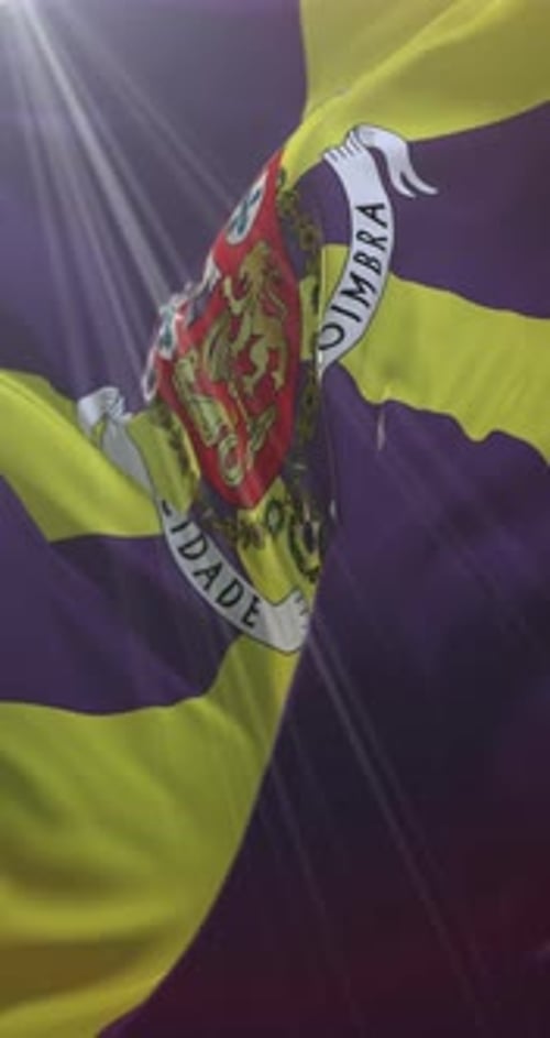 Coimbra City Flag Waving Seamless Loop