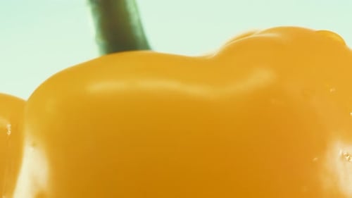 Eine Makro-Nahaufnahme einer nassen, glänzenden süßen gelben Paprika auf einem rotierenden Ständer 360, Zeitlupe, 4k