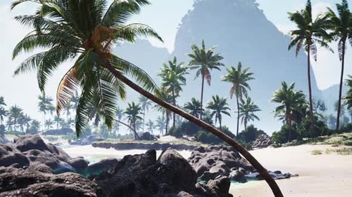 Serene Beach View in Tahiti Featuring Palm Trees and Rocky Coastline