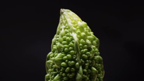 Une gourde amère tournant sur fond noir gros plan d'un légume souvent utilisé comme ingrédient dans