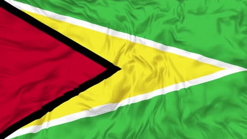 Guyana National Flag Waving with Realistic Fabric Loop