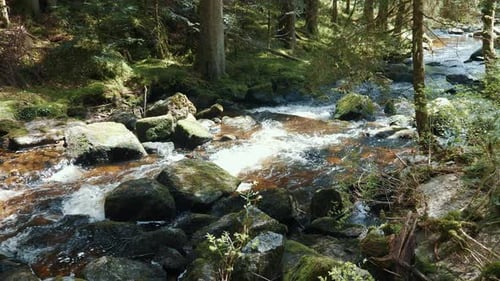 Clear water stream running through stones. Mountain river in Schwarzwald,Germany