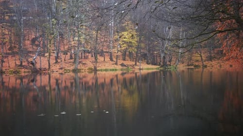 2K Autumn Lake