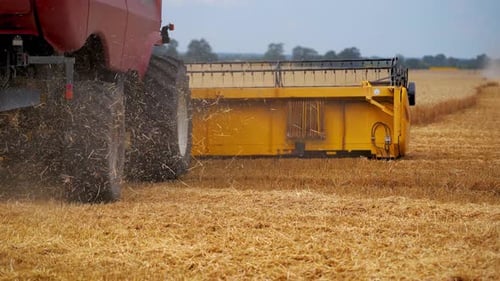 Agriculture machine harvesting crop in fields. Special technic in action. Agricultural technic