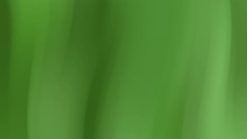 Seamless Green Gradient Background Animation with Subtle Light and Shadow
