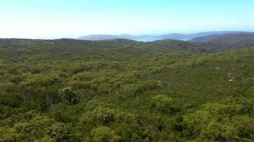 4k drone footage of lush greenery leading to an ocean