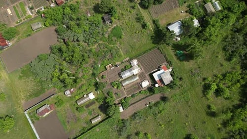 Allotment Gardens Evolve Over Time Showcasing the Dedication of Gardeners in Cultivating Their Plots