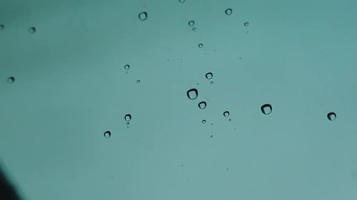 The rain drops falling on the windows very slowly, refreshing and reviving the view. Slow movement o