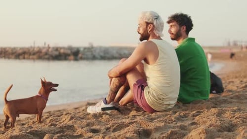 Casal homossexual apaixonado passa tempo juntos sentados na praia com seu cachorro