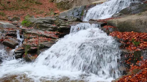 Powerful mountain stream cascading over rocky rapids surrounded by vibrant autumn foliage