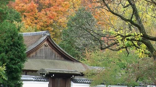 Japanese house and roofed gate with autumn trees.
