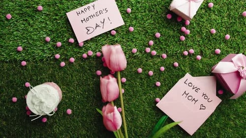 Pink Tulips and Gifts on Green Background