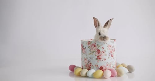 Feier Ostern