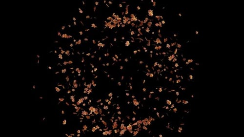 Alpha Channel Maple Leaves Seasonal 03 HD