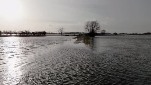Flooded Farmland Road with Bare Trees