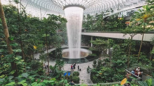 Singapore Changi Airport Interior