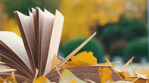 Cinematic And Majestic View Of Book And Leaves Falling