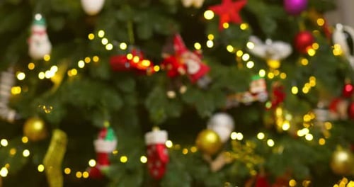 Exchanging a Christmas Present by Decorated Tree