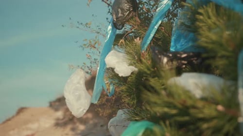 Chaotic Collection of Plastic Bags Trapped in Shrubs Highlights Urgent Need for Environmental Action
