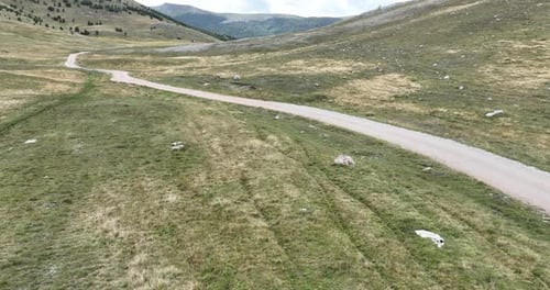 Empty Asphalt Road on the Plateau Between Green Fields Aerial View