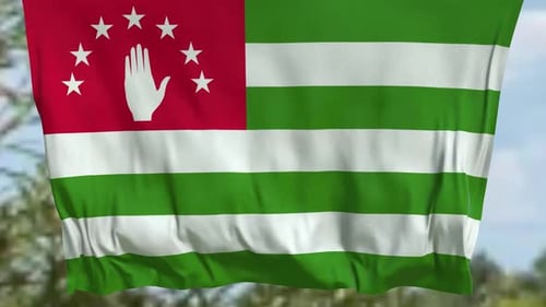 Realistic Waving Flag Animation with Detailed Fabric