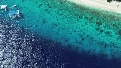 Tropical Beach with White Sand and Sea