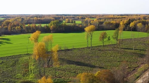 Goldene Herbstfelder mit einer Landstraße im Luftsack (rechte Aufnahme)