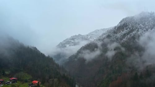 Misty Snow Covered Mountain Valley and Forest in Winter