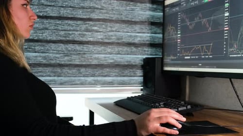 Finance woman earning a lot of money working in the office