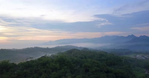 Beautiful drone flight over forest and hill covered with mystic fog in the morning - Epic nature foo