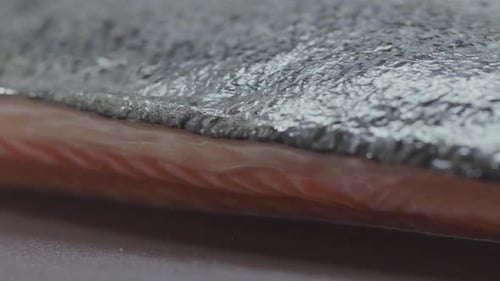 Close up salmon skinwith hilight