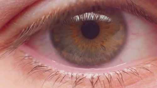 4K macro shot of an eye in slow motion, looking into the camera.